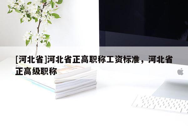 [河北省]河北省正高职称工资标准，河北省正高级职称